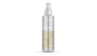 Picture of DETANGLER BLONDE